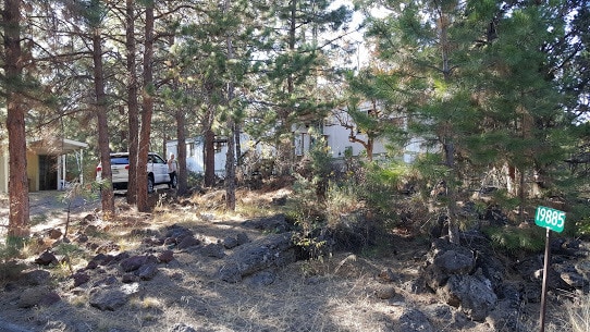 property at 19885 Cinder Ln