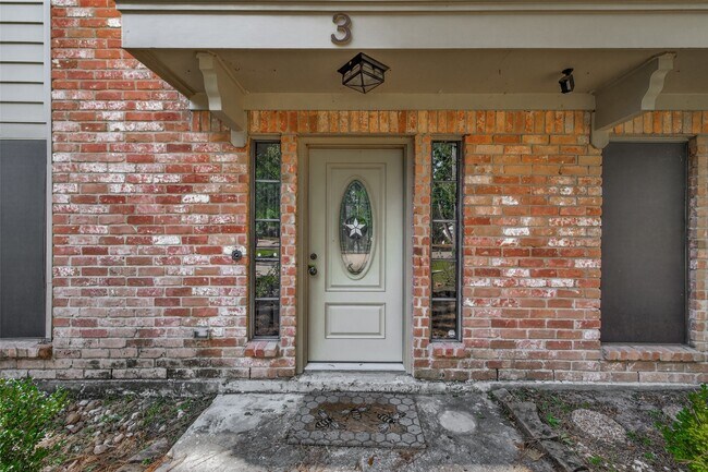 3 Nutmeg Ct in Spring, TX - Building Photo - Building Photo