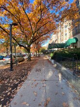 378 Riverway, Unit 5 in Boston, MA - Building Photo - Building Photo