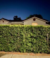 2620 Graham Ave in Redondo Beach, CA - Building Photo - Building Photo