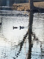 Trianon Apartments & Townhomes in Topeka, KS - Building Photo