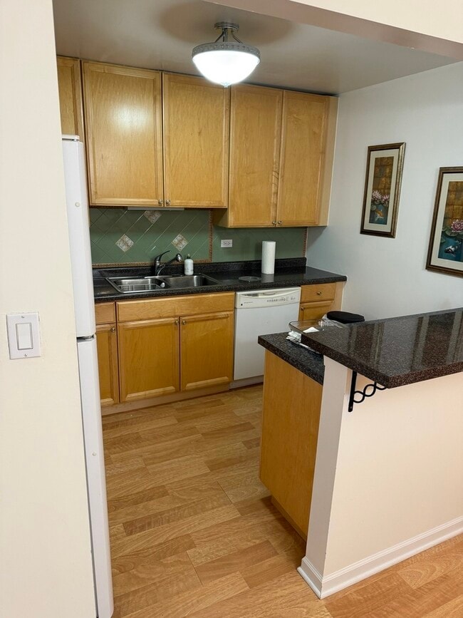 456 E Spruce Dr in Palatine, IL - Building Photo - Building Photo