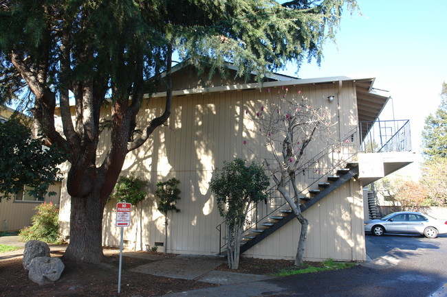 Kinjo Gardens in San Jose, CA - Building Photo - Building Photo