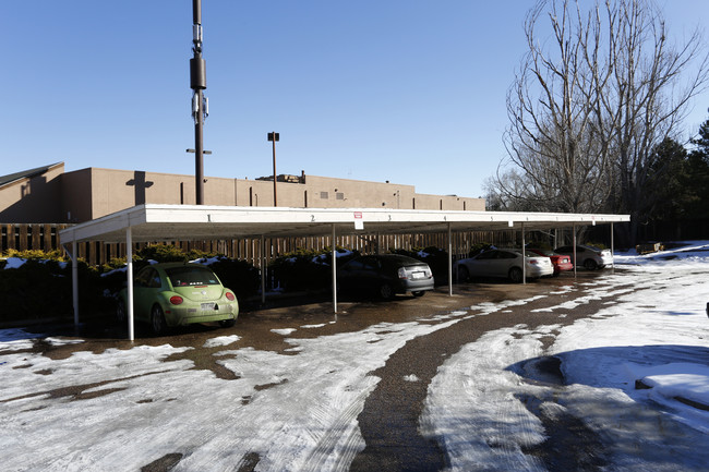 Scotch Pines Village in Fort Collins, CO - Foto de edificio - Building Photo