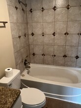 17515 Sandalwood Dr in Tinley Park, IL - Building Photo - Building Photo