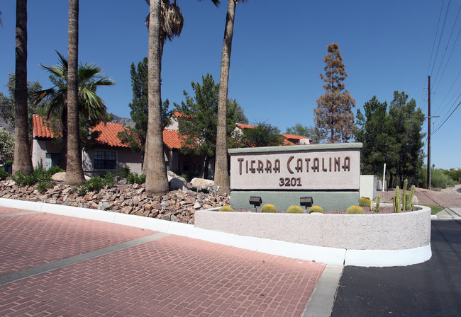 Tierra Catalina Apartments in Tucson, AZ - Building Photo - Building Photo