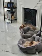 200-210 NE 110th St in Miami, FL - Building Photo - Building Photo