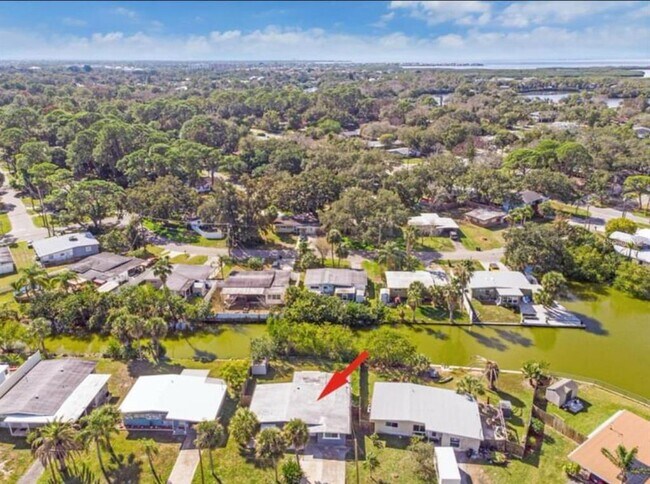 7313 Royal Palm Dr in New Port Richey, FL - Building Photo - Building Photo