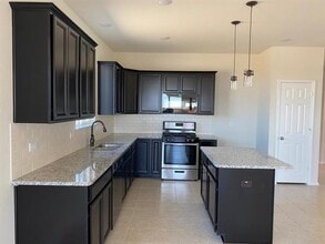 2913 Brisco Way in Aubrey, TX - Building Photo - Building Photo