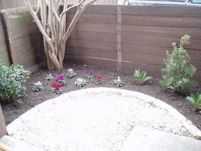 4409 W Guadalupe St in Austin, TX - Building Photo - Building Photo