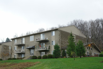 PARK PLAZA APARTMENTS in Pittsburgh, PA - Building Photo - Building Photo