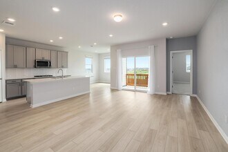 308 Palo Brea Lp in Hutto, TX - Building Photo - Building Photo