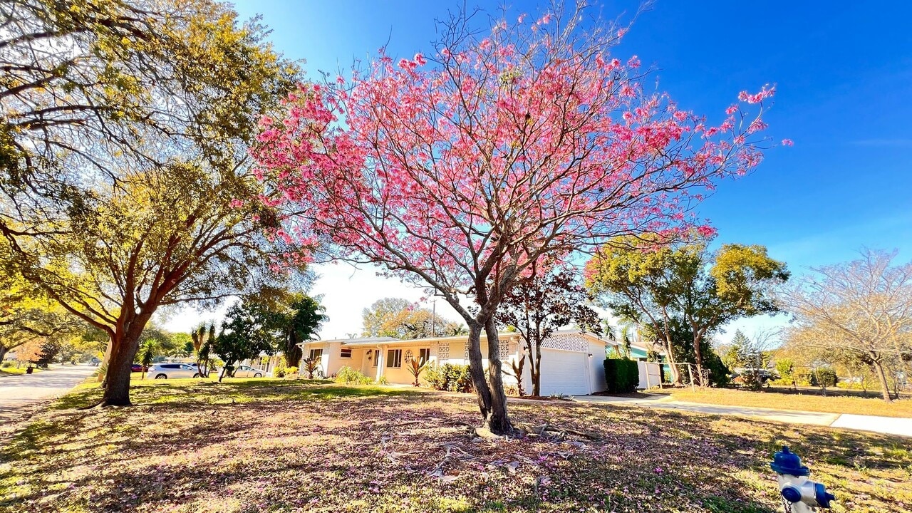 1516 Dove Dr in Orlando, FL - Building Photo