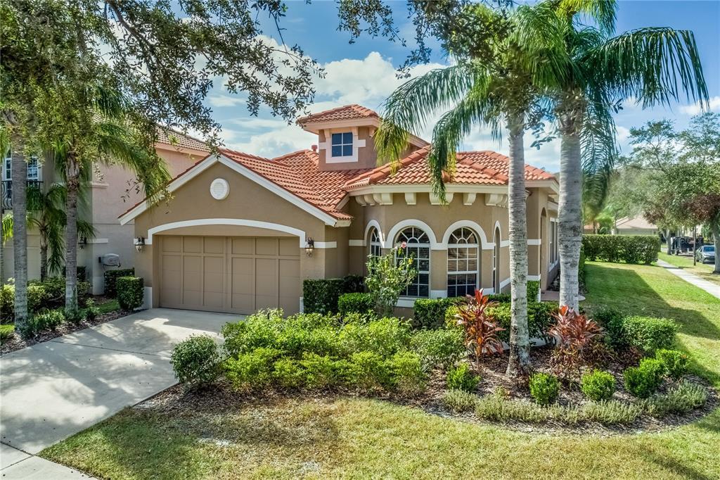 14517 Mirasol Manor Ct in Tampa, FL - Building Photo