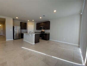 3112 Forrest Plum Ct in Zephyrhills, FL - Foto de edificio - Building Photo