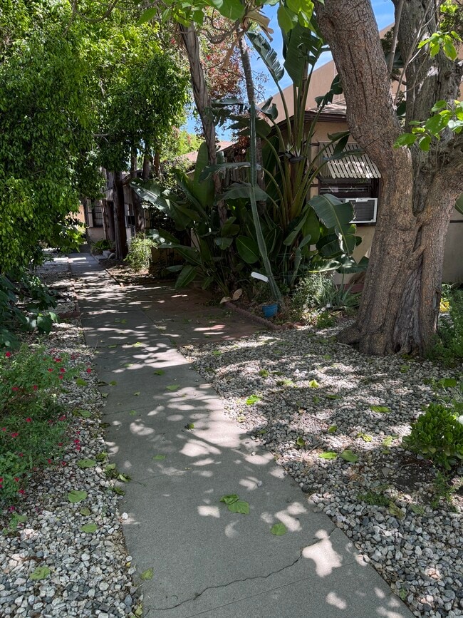 10907 Camarillo St, Unit 10907 in North Hollywood, CA - Building Photo - Building Photo