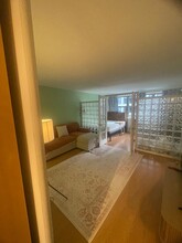 253 E Delaware Pl in Chicago, IL - Foto de edificio - Building Photo