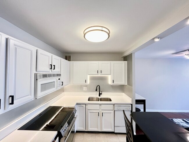 100 E Walton Pl in Chicago, IL - Building Photo - Building Photo