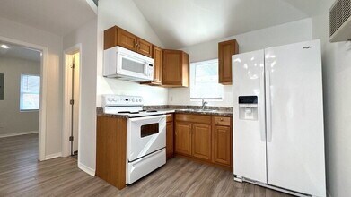 215 N Wild Olive Ave in Daytona Beach, FL - Foto de edificio - Building Photo