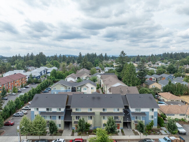 Vine Maple in Portland, OR - Building Photo - Building Photo