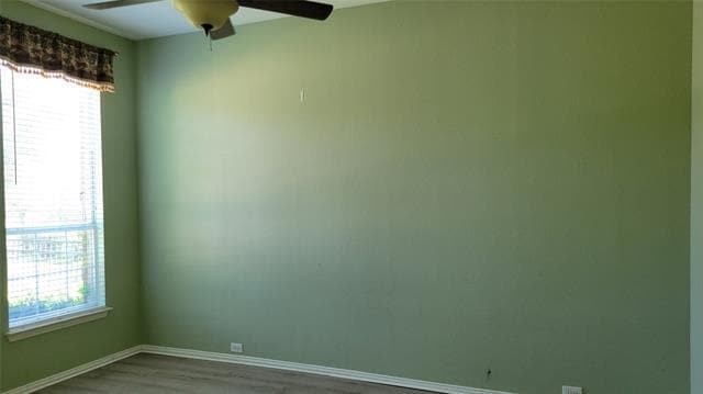 2400 Spillway Cir in Frisco, TX - Building Photo - Building Photo