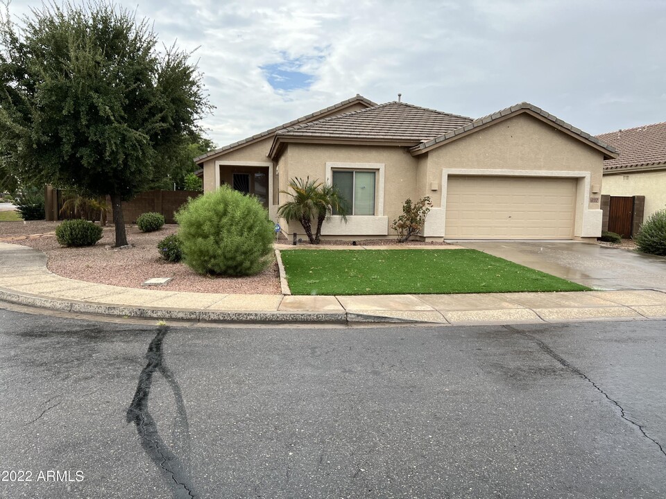 3123 E Bluebird Pl in Chandler, AZ - Building Photo