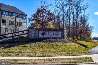 25291 Gray Poplar Terrace in Aldie, VA - Building Photo - Building Photo