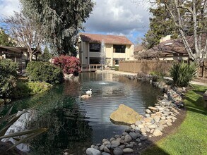 3701 Colonial Dr in Modesto, CA - Foto de edificio - Building Photo