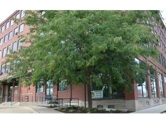 Bottleworks Loft Condos in Cedar Rapids, IA - Building Photo - Building Photo