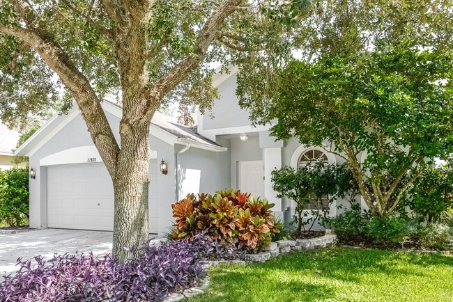 22820 Marsh Wren Dr in Land O Lakes, FL - Foto de edificio - Building Photo
