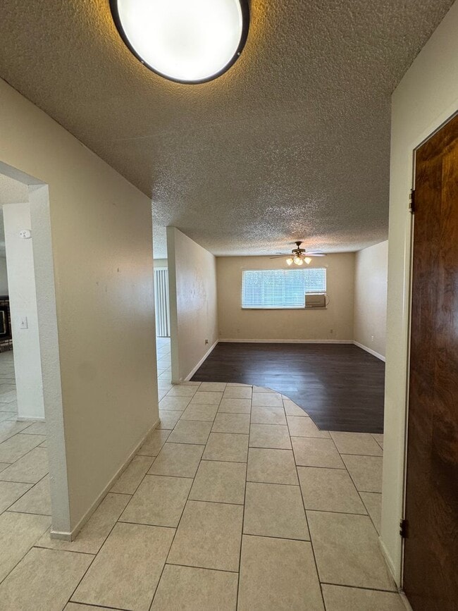 1009 W Laura Ave in Visalia, CA - Building Photo - Building Photo