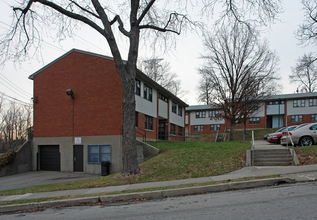 3002 Mathers St in Cincinnati, OH - Building Photo - Building Photo