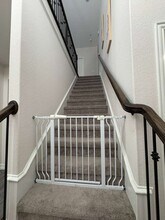 609 Cattle Chute Ct in Celina, TX - Foto de edificio - Building Photo