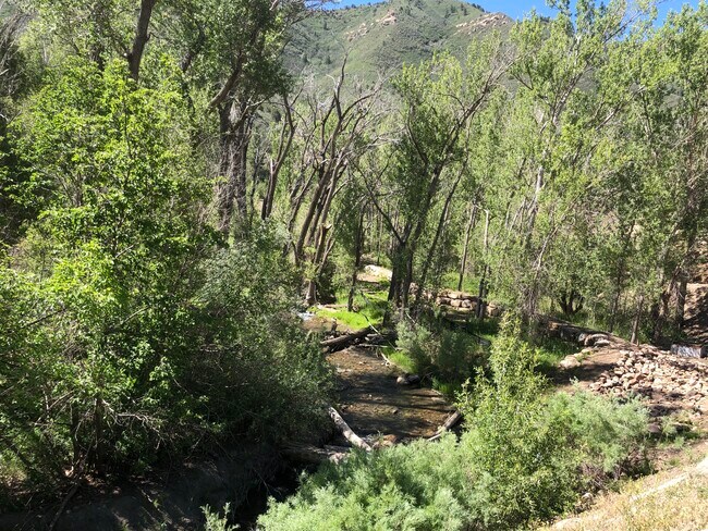 219 Rosemary Ln, Unit Main House in Durango, CO - Building Photo - Building Photo
