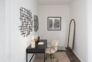 VIV in St. Petersburg, FL - Building Photo