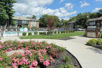 The Rye in Louisville, KY - Building Photo - Building Photo