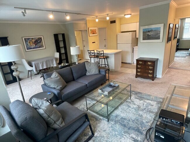 30 E Elm St, Unit 4F in Chicago, IL - Building Photo - Building Photo