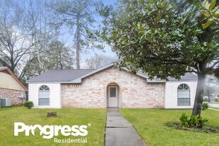 23127 Briarcreek Blvd in Spring, TX - Building Photo
