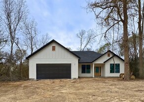 211 Kahana Ln in Bastrop, TX - Building Photo