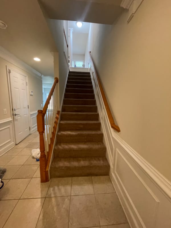 2203 Greywing St in Woodbridge, VA - Building Photo - Building Photo