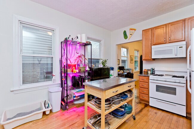 3844 N Bernard St, Unit 2F in Chicago, IL - Foto de edificio - Building Photo