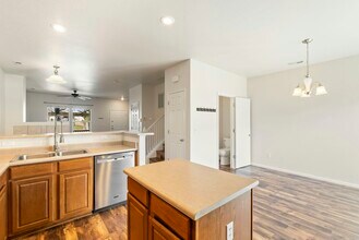 2569 Shannara Grove in Colorado Springs, CO - Building Photo - Building Photo