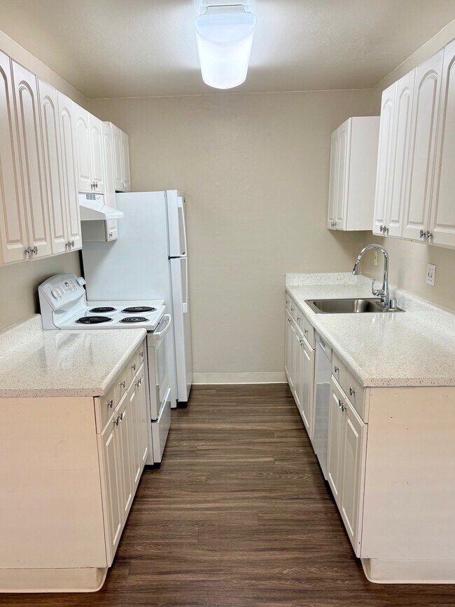 Olive Court Apartments in Fair Oaks, CA - Building Photo - Building Photo