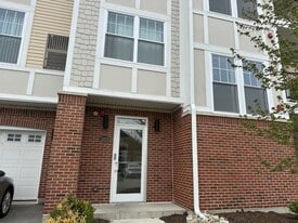 12829 Blue Spruce Dr in Plainfield, IL - Building Photo