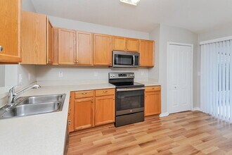 12617 Ocelot Pl in Riverview, FL - Building Photo - Building Photo