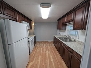 207 Dolphin Dr N in Oldsmar, FL - Building Photo - Building Photo