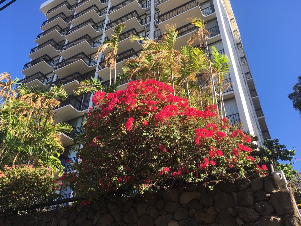 1560 Thurston Ave, Unit 905 in Honolulu, HI - Building Photo