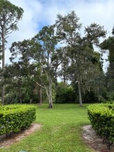 3038 Eastland Blvd, Unit Imperial oaks condominium in Clearwater, FL - Building Photo - Building Photo