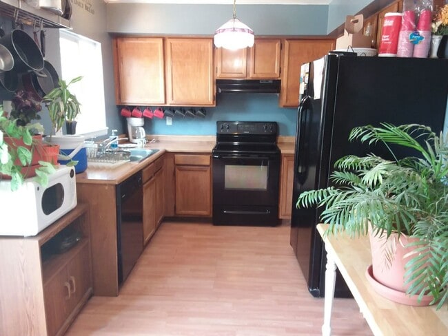 713 Autumn Pl in Fountain, CO - Building Photo - Building Photo
