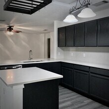 1910 Marysol Trail in Cedar Park, TX - Building Photo - Building Photo